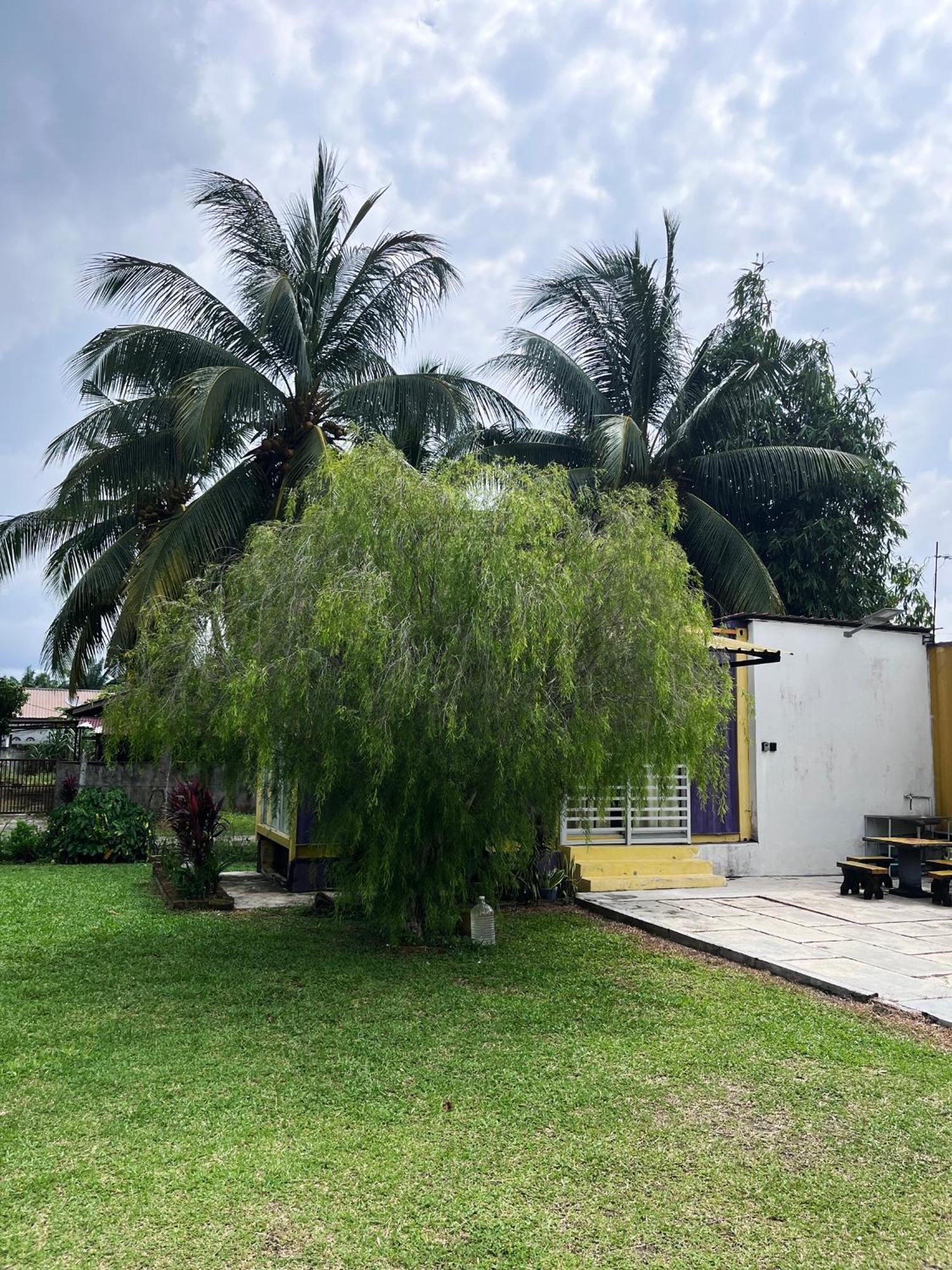 Purple Cube At Lumut Cube Homestay Kontena Екстер'єр фото